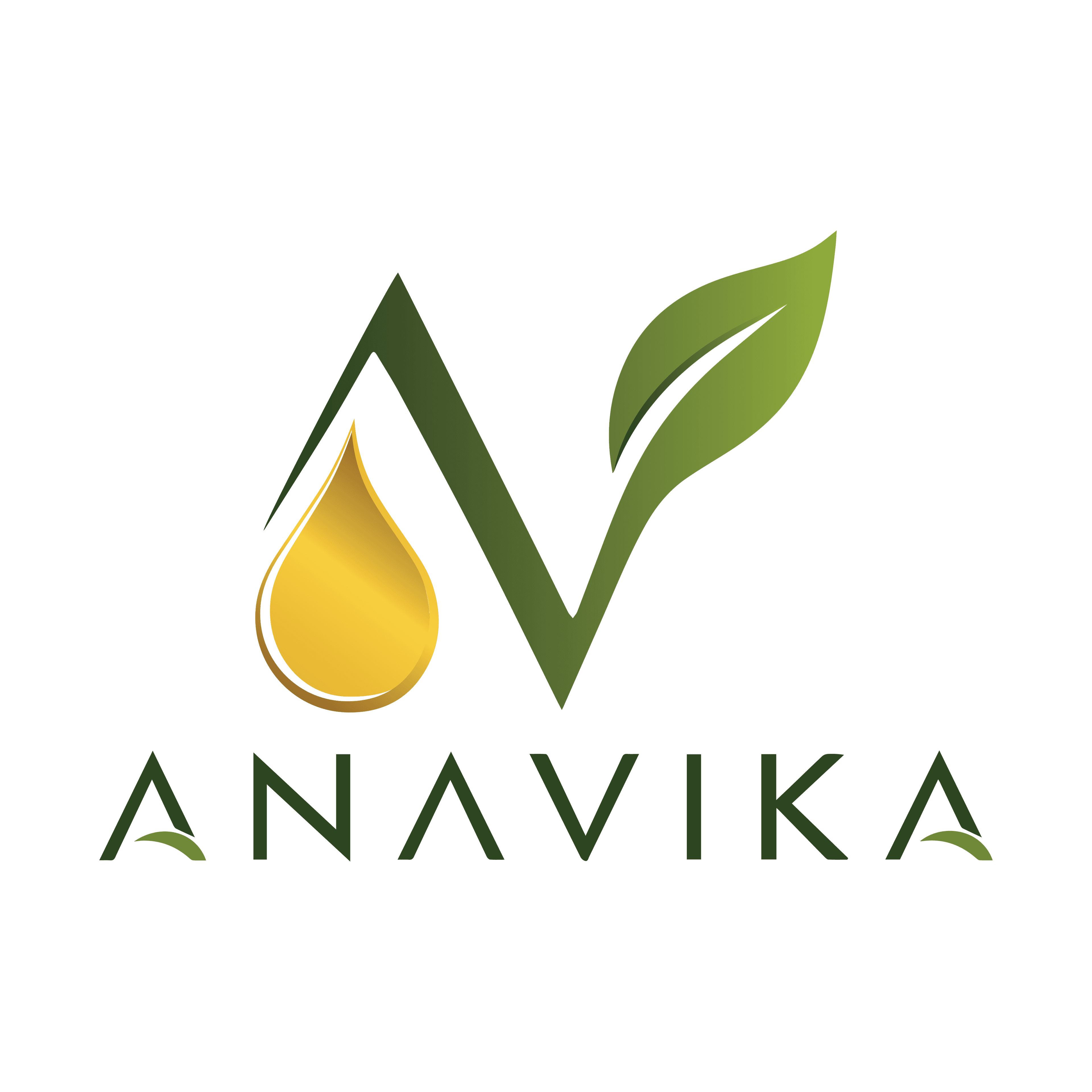 Anavika Logo